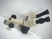 OOTSUKA